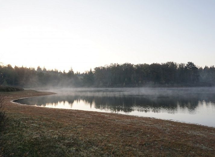 Gezellige binnenruimte van De Bosuil in Punthorst, Vechtstreek, met houten balken en uitzicht op de tuin.