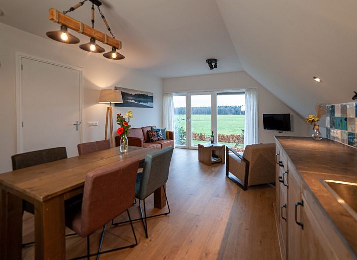 The Buzzard vacation home in Punthorst, Vecht region with spacious garden and swing for children.