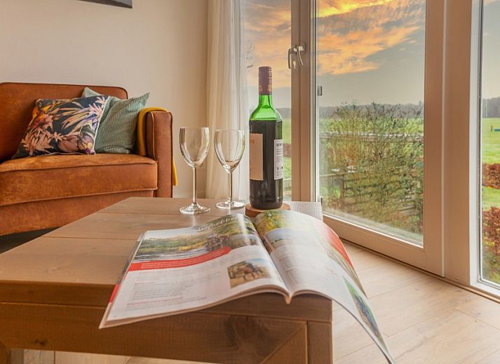 Modern living room in De Buizerd vacation home, Punthorst with large windows and views of the countryside.