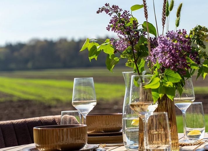 Unterkunft 540177 - Ferienhaus Vechtstreek - Vakantiehuis in Ommen
