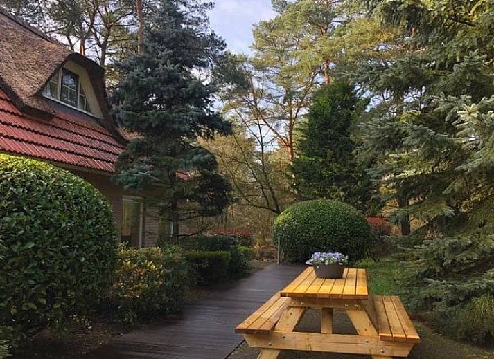 Charming vacation home Cottage in Beerze, located in the green surroundings of Vechtstreek, Overijssel.