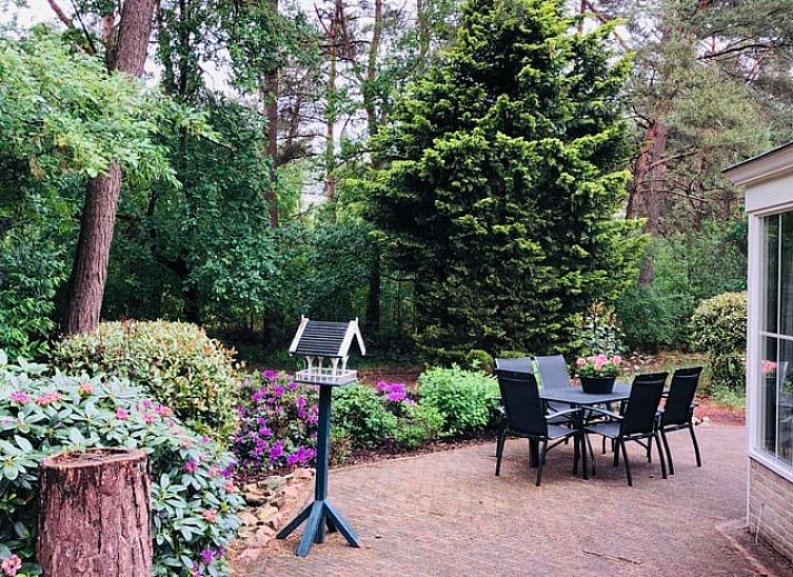 Charming vacation home Cottage in Beerze, located in the green surroundings of Vechtstreek, Overijssel.