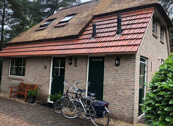 Charming vacation home Cottage in Beerze, located in the green surroundings of Vechtstreek, Overijssel.