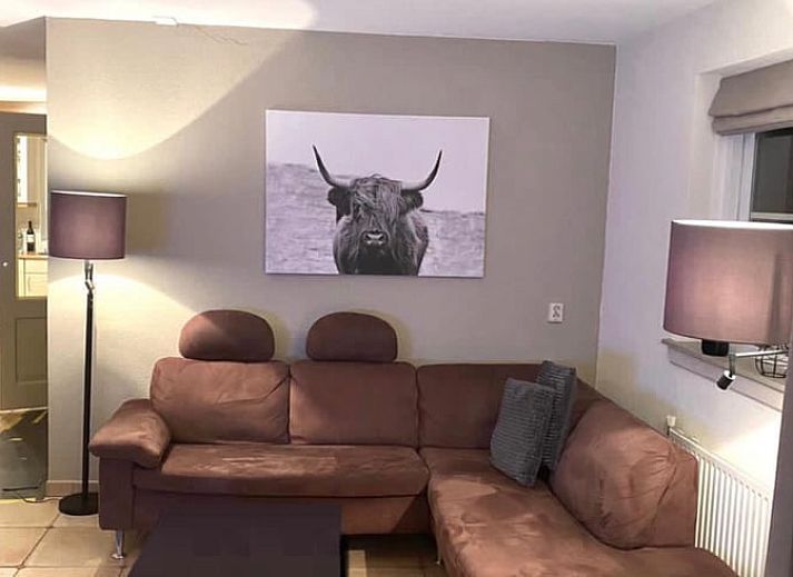 Cozy terrace at Cottage in Beerze, vacation home in the natural surroundings of Vechtstreek, Overijssel.