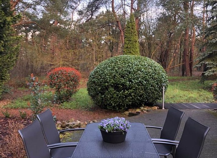 Traditional thatched roof of Huisje in Beerze, vacation home in Vechtstreek, Overijssel.