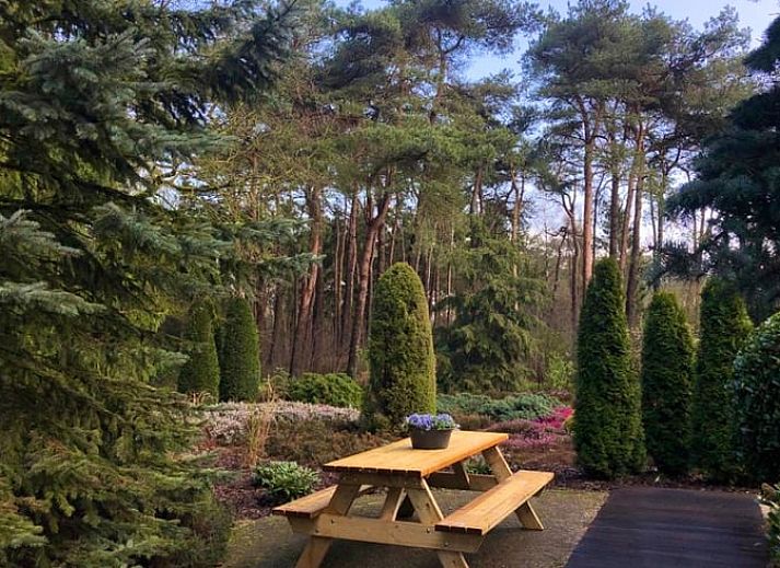 Traditional thatched roof of Huisje in Beerze, vacation home in Vechtstreek, Overijssel.