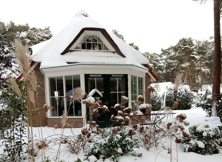 Entrance to Huisje in Beerze, attractive vacation home in Vechtstreek, Overijssel.