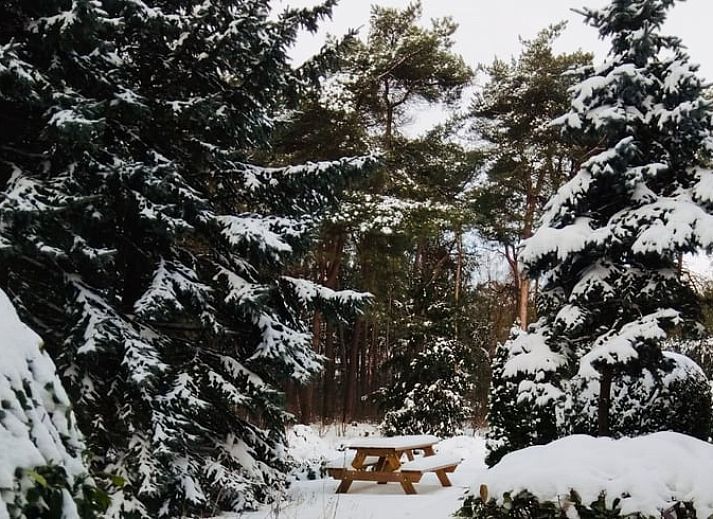 Entrance to Huisje in Beerze, attractive vacation home in Vechtstreek, Overijssel.