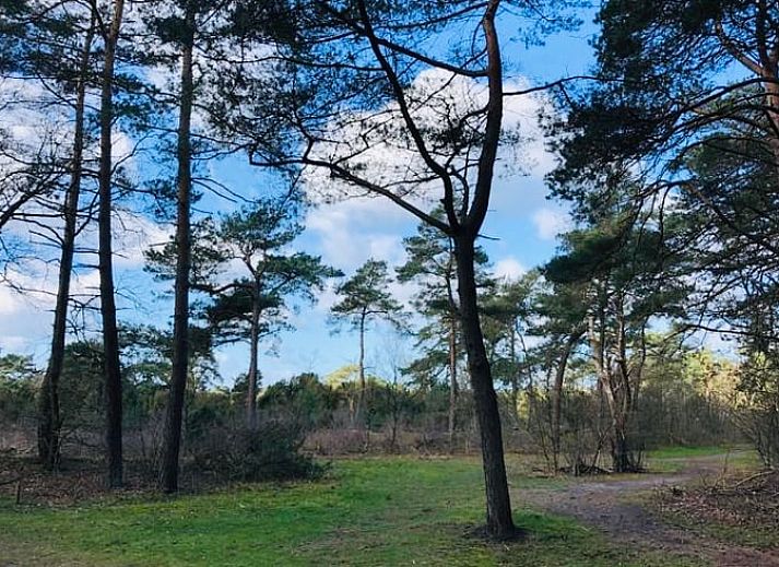Entrance to Huisje in Beerze, attractive vacation home in Vechtstreek, Overijssel.