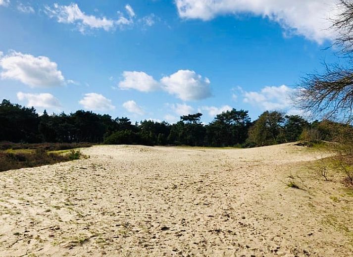 Entrance to Huisje in Beerze, attractive vacation home in Vechtstreek, Overijssel.
