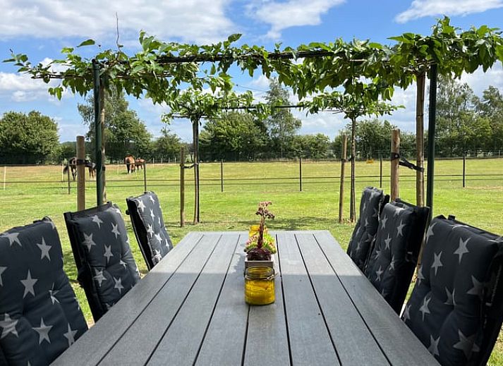 Aussenansicht des Ferienhauses in Beerze, ein charmantes Ferienhaus in der Region Vecht, Overijssel mit gruenem Garten und Terrasse.