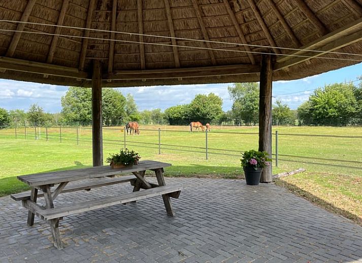 Gemuetliche Terrasse des Ferienhauses in Beerze, Region Vecht, Overijssel, mit Blick auf die Natur und bequemen Sitzgelegenheiten.
