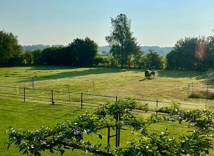 Das Ferienhaus in Beerze, Overijssel, bietet eine Terrasse mit Pflanzgefaessen und einem gemuetlichen Sitzbereich zum Entspannen.