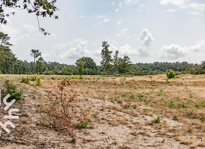 Luftaufnahme der natuerlichen Umgebung um das Ferienhaus OV260 in Beerze, Vechtstreek, Overijssel, mit ausgedehnten Waeldern und offenen Feldern.