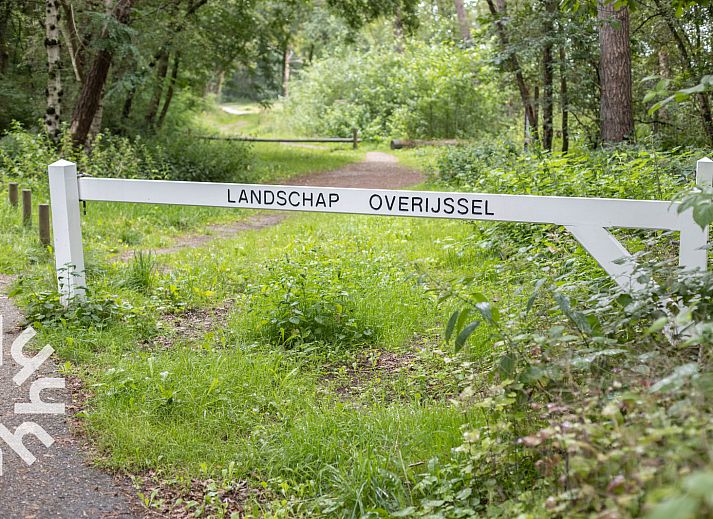 Ferienhaus OV260 in Beerze, Vechtstreek, Overijssel, umgeben von gruener Natur und rustikalem Charme.