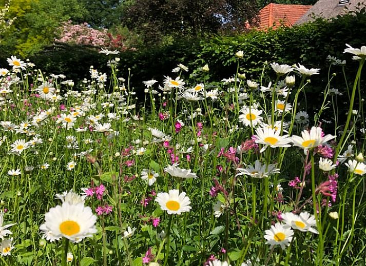 Gemuetliches Schlafzimmer im Ferienhaus in Beerze mit antikem Holzbett, Vechtstreek, Overijssel.