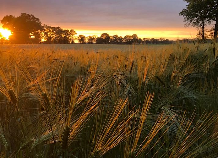 Heller Innenraum in modern eingerichteter Ferienwohnung in Beerze, Region Vecht, Overijssel.