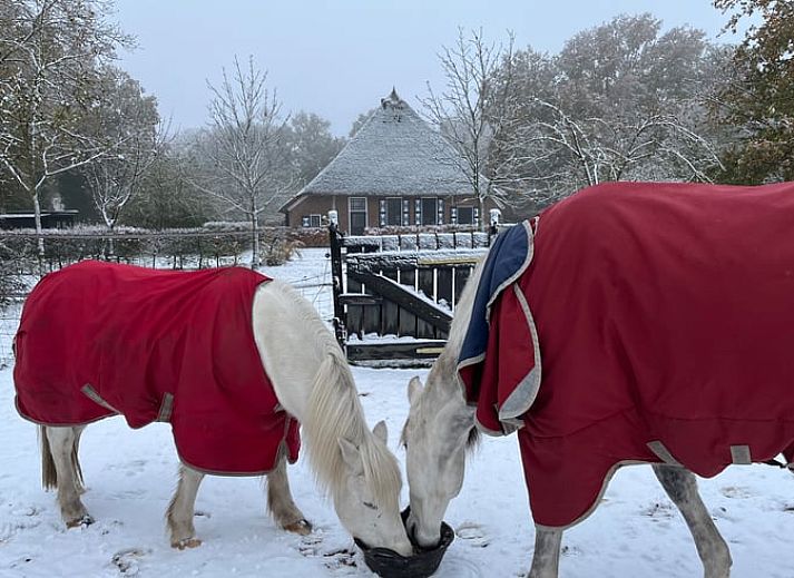 Heller Innenraum in modern eingerichteter Ferienwohnung in Beerze, Region Vecht, Overijssel.