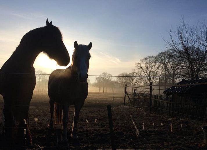 Heller Innenraum in modern eingerichteter Ferienwohnung in Beerze, Region Vecht, Overijssel.