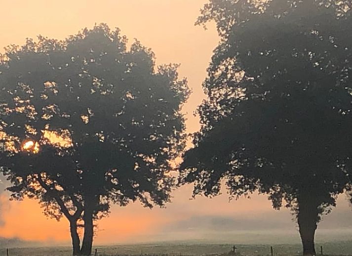 Unterkunft 540215 - Ferienhaus Vechtstreek - Vakantiehuisje in Beerze