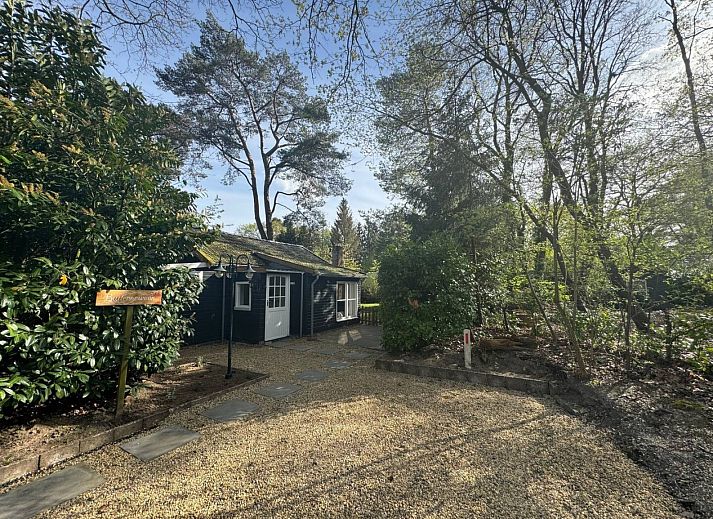 OV703 vakantiehuis met charmante veranda in Beerze, Vechtstreek, Overijssel, omgeven door groene natuur en rustieke charme.