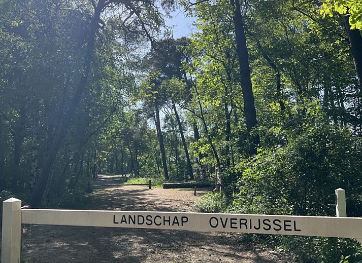 Speeltuin bij OV703 vakantiehuis in Beerze, Vechtstreek, Overijssel, omgeven door groen en ideaal voor gezinnen met kinderen.