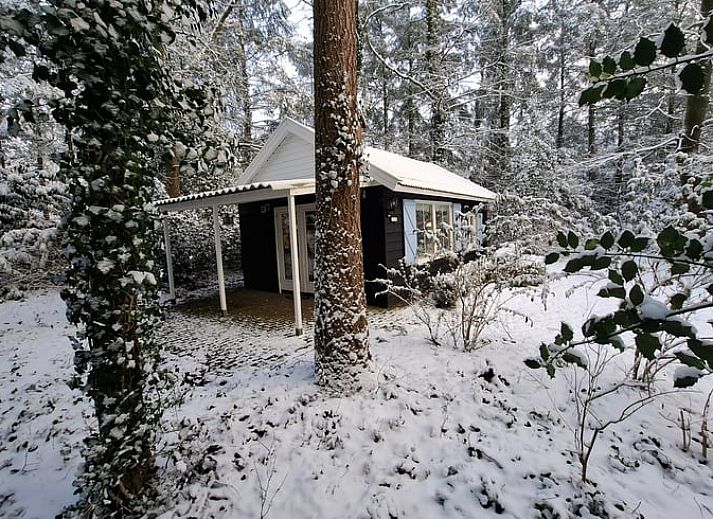 Unterkunft 540220 - Ferienhaus Vechtstreek - Vakantiehuis in Beerze