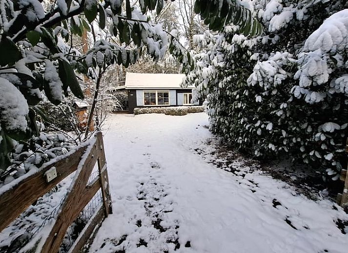 Unterkunft 540220 - Ferienhaus Vechtstreek - Vakantiehuis in Beerze