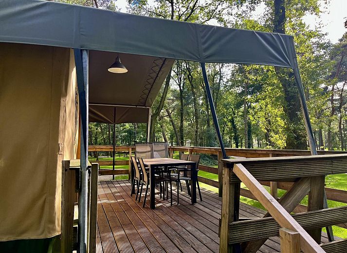 Summer Lodge Glamping Lodge in Beerze, Region Vecht mit geraeumiger Veranda und Waldgebiet in Overijssel.