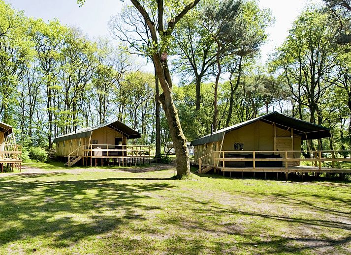 Summer Lodge Glamping Lodge in Beerze, Region Vecht mit geraeumiger Veranda und Waldgebiet in Overijssel.