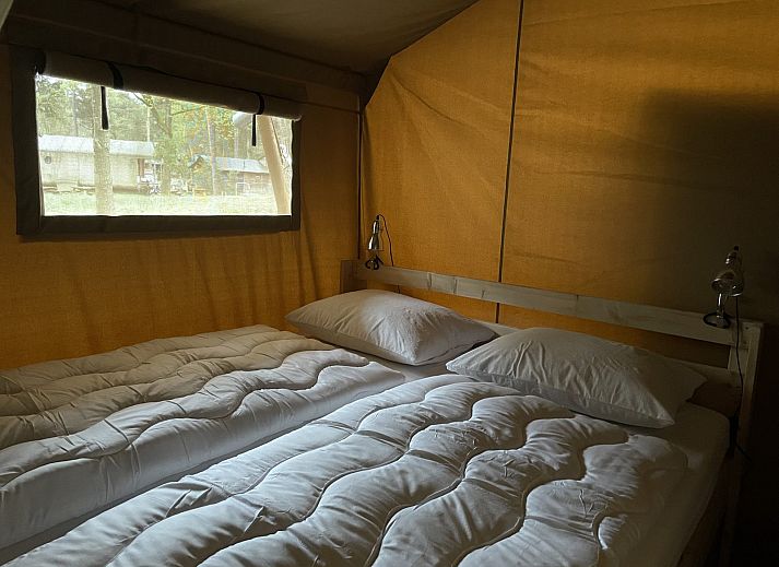 Summer Lodge 5 personen in Beerze, een charmante glamping lodge omgeven door groene natuur in de Vechtstreek, Overijssel.