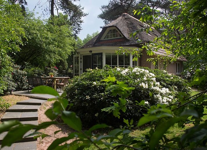 Guest house 540225 • Holiday property Vechtstreek • Vakantiehuisje in Beerze