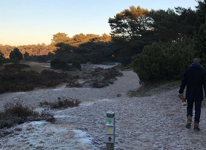 Charmantes Ferienhaus in Beerze in der Region Vecht mit ueppigem Garten und Terrasse in Overijssel.