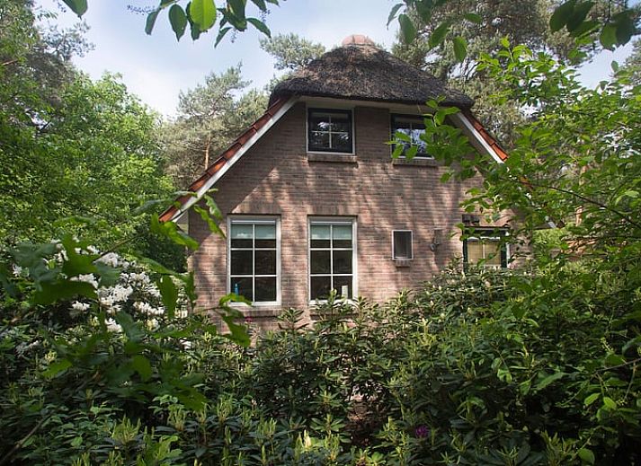 Charmantes Ferienhaus in Beerze in der Region Vecht mit ueppigem Garten und Terrasse in Overijssel.