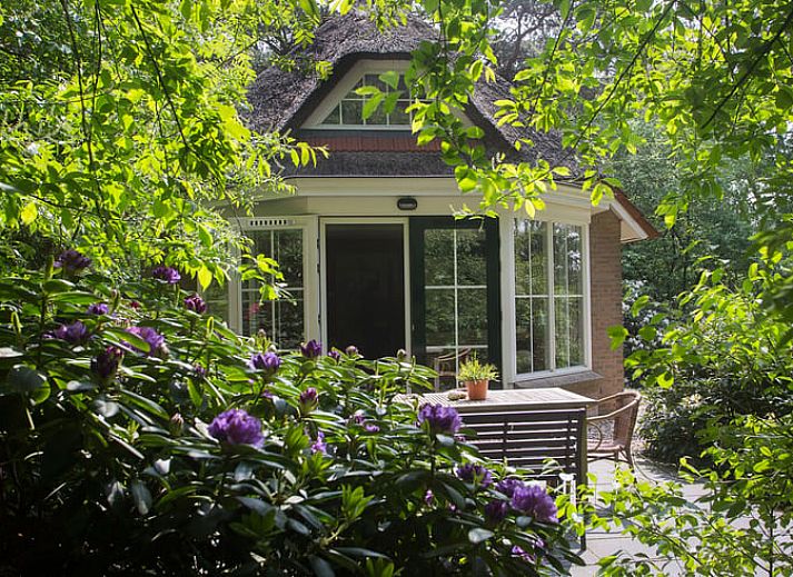Naturpfad um das Ferienhaus in Beerze, Vechtstreek, Overijssel.