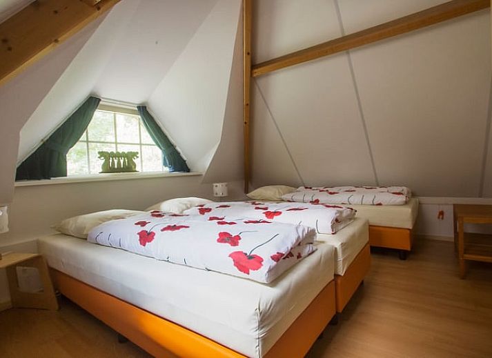 Naturpfad um das Ferienhaus in Beerze, Vechtstreek, Overijssel.