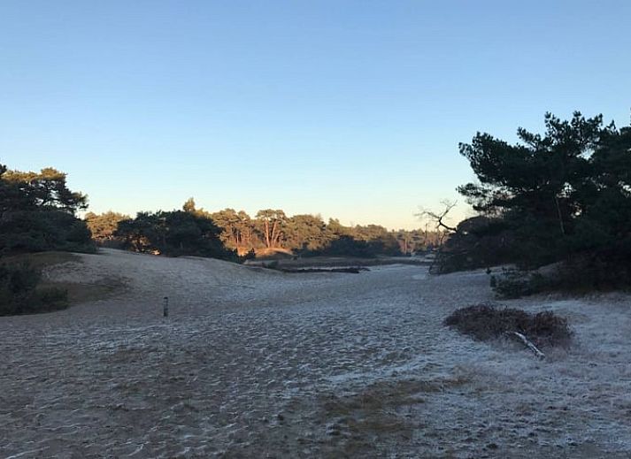 Gemuetliches Schlafzimmer im Ferienhaus Beerze, Vechtgegend, mit Holzbalken und Fenstern.
