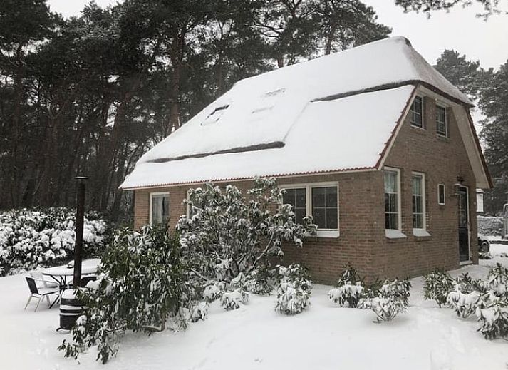 Gemuetliches Schlafzimmer im Ferienhaus Beerze, Vechtgegend, mit Holzbalken und Fenstern.