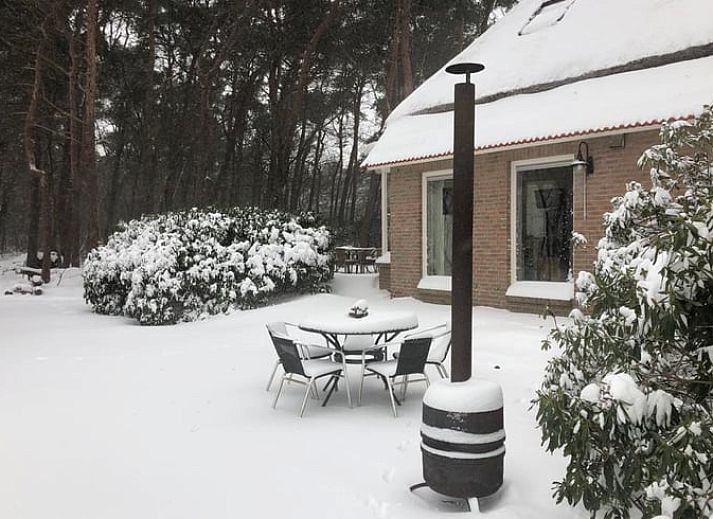 Ueppig bewachsene Umgebung des Ferienhauses in Beerze, Region Vecht, Overijssel.