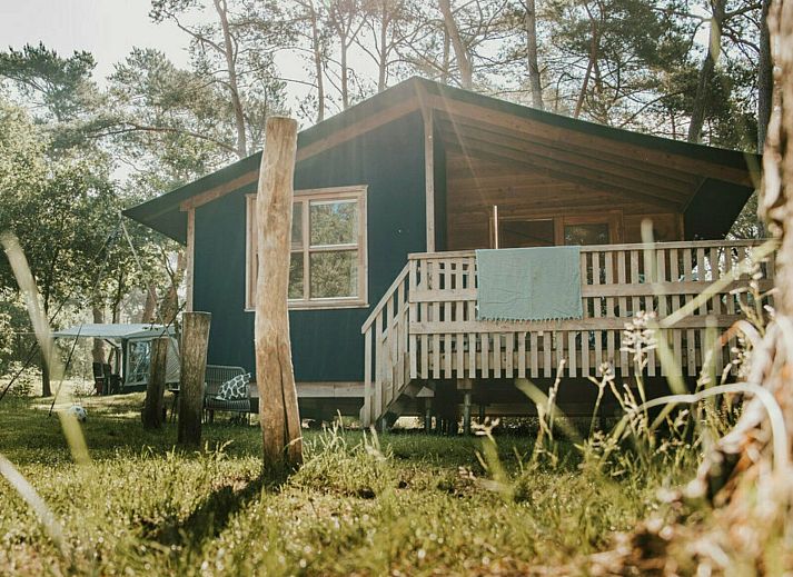 Geniessen Sie die Sonne auf der Veranda der Youpi! Lodge, einem luxurioesen Zelthaus in Beerze, Vechtstreek, Overijssel.