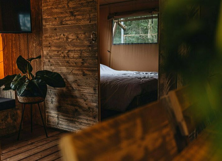 Veranda met uitzicht op de natuur bij Vechtglamping Lodge in Beerze.