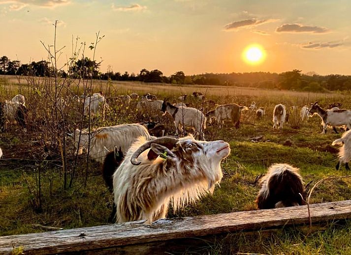 Gemuetliches Doppelzimmer in einem Ferienhaus in Beerze, Region Vechta