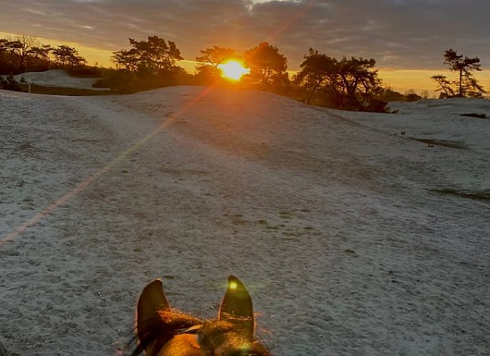 Modernes Badezimmer mit Dusche im Ferienhaus in Beerze, Overijssel