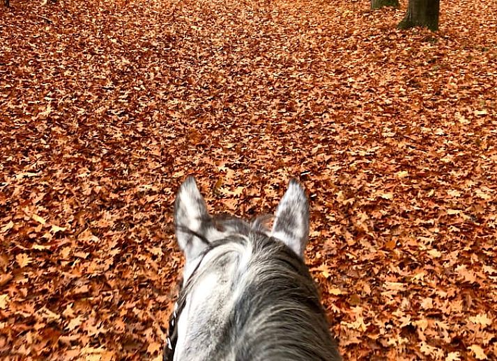 Modernes Badezimmer mit Dusche im Ferienhaus in Beerze, Overijssel