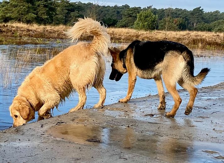Modernes Badezimmer mit Dusche im Ferienhaus in Beerze, Overijssel