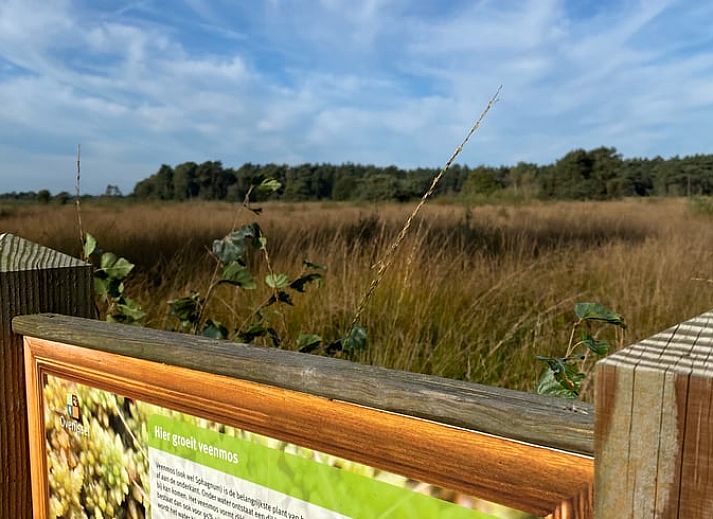 Geraeumiges Wohnzimmer mit Blick auf den Garten im Ferienhaus in Beerze, Region Vechta