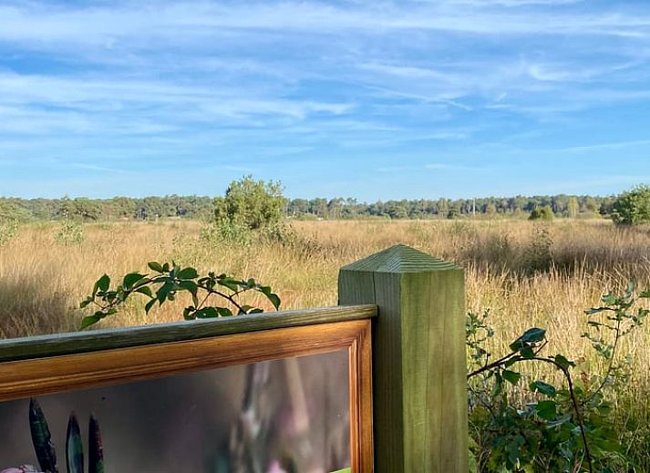 Geraeumiges Wohnzimmer mit Blick auf den Garten im Ferienhaus in Beerze, Region Vechta