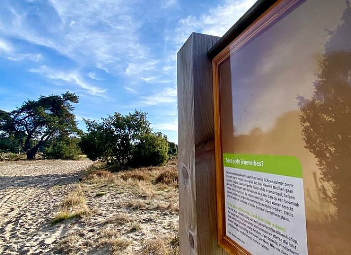 Geraeumiges Wohnzimmer mit Blick auf den Garten im Ferienhaus in Beerze, Region Vechta