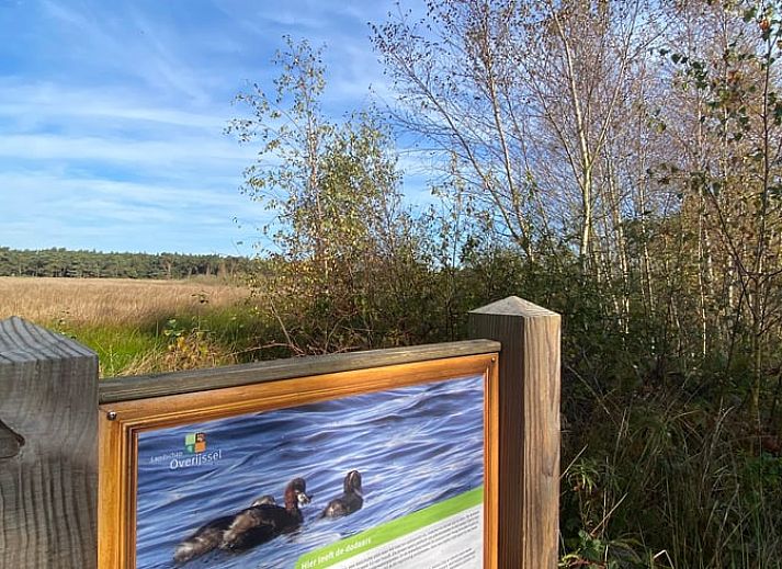 Sonnige Terrasse mit bequemen Sitzgelegenheiten im Ferienhaus in Beerze, Overijssel