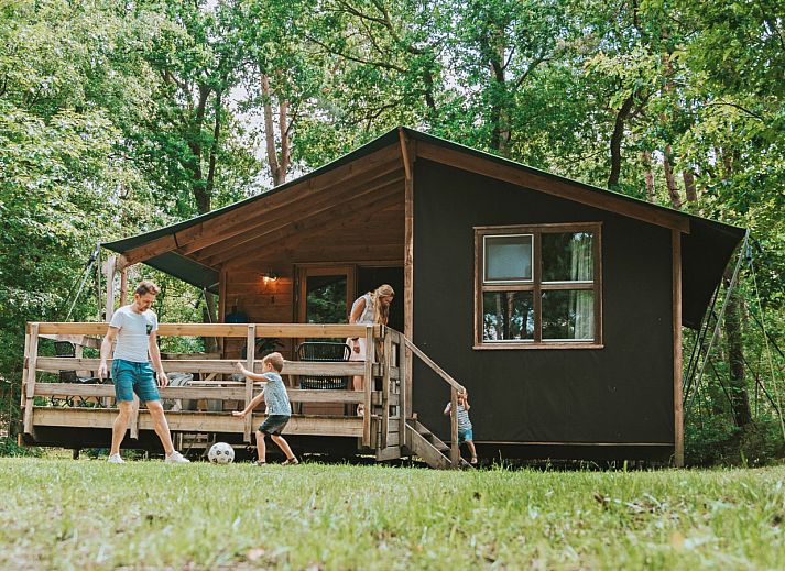 Unterkunft 540233 - Zelthaus Vechtstreek - Youpi! Lodge